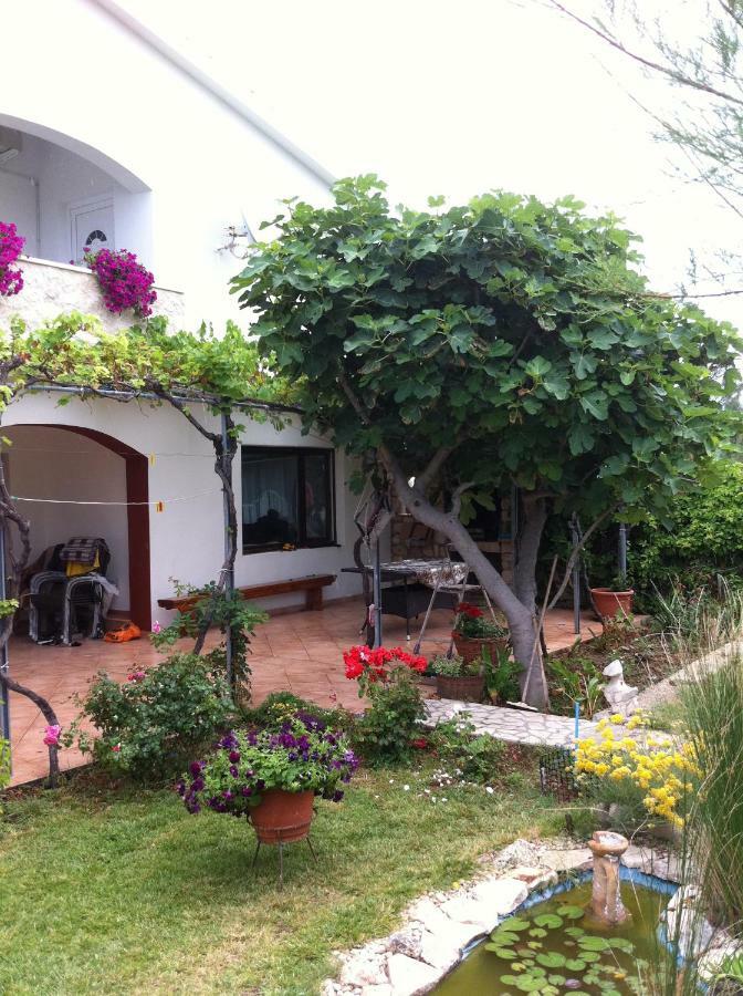 Apartments Piccolo Piaccere Ražanac Dış mekan fotoğraf